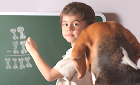 boy teaching dog