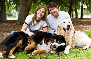 familia perro