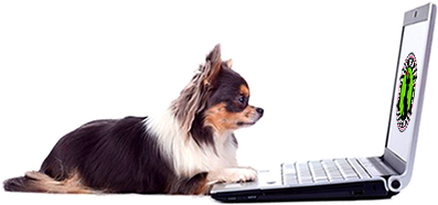 dog laptop 2