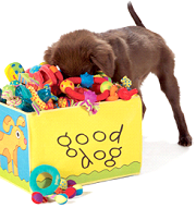 pup box