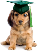 pup graduation